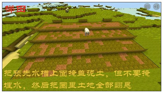 迷你梯田