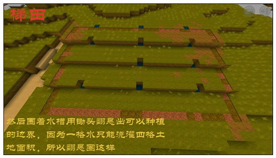 迷你梯田