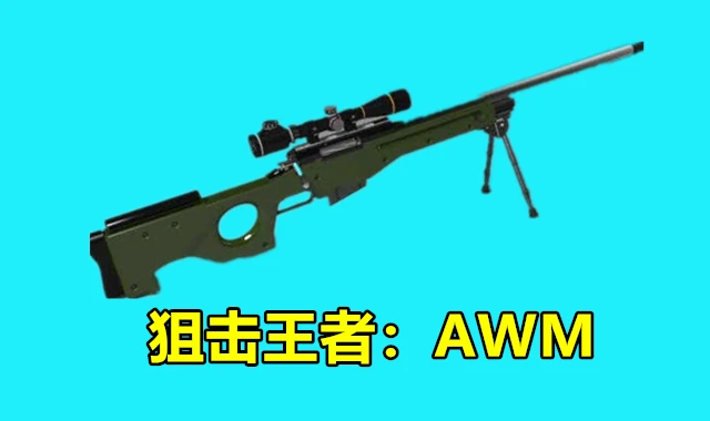 吃鸡枪支,绝地求生