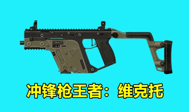 吃鸡枪支,绝地求生