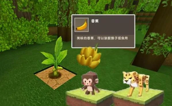 迷你世界更新雨林地形怎么样