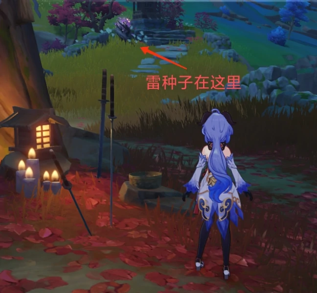 八酝岛带电剑雷种子分布位置,原神