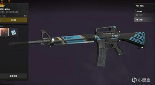 历届PCS赛事皮肤有哪些,绝地求生