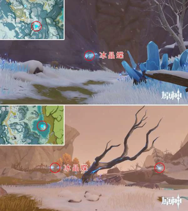 各类晶蝶在哪,原神