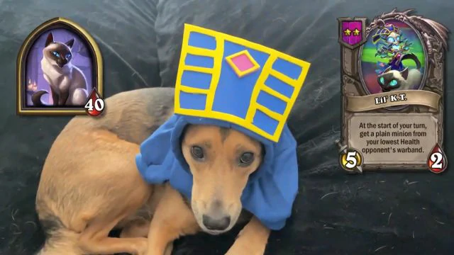 酒馆战棋比格沃斯先生战棋伙伴属性一览,炉石传说