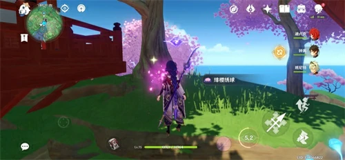 绯樱绣球在哪,原神
