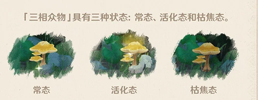 原神须弥怎么解谜,原神