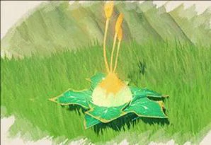 原神须弥怎么解谜,原神