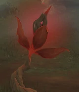 原神须弥怎么解谜,原神