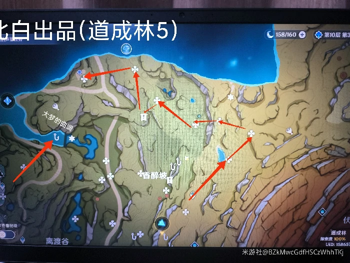 道成林宝箱怎么获得,原神