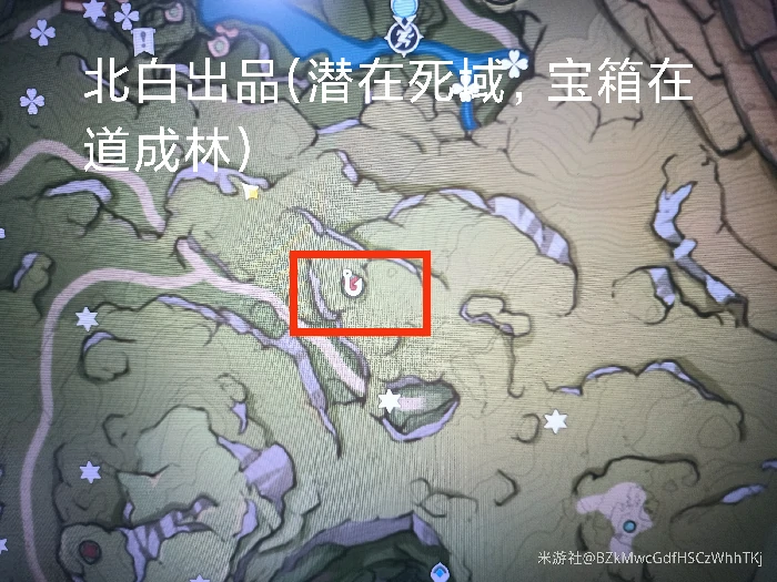 道成林宝箱怎么获得,原神