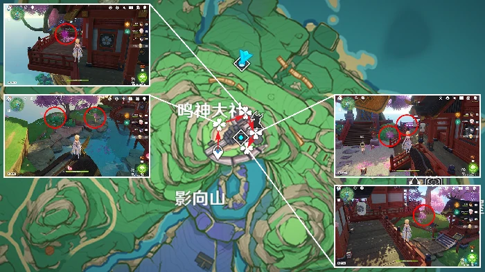原神绯樱绣球收集路线,原神
