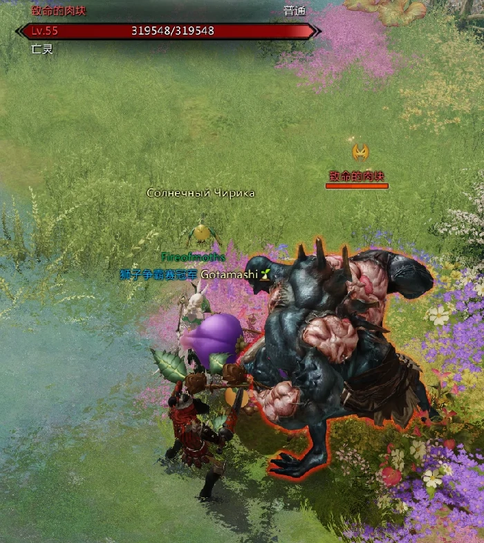 命运方舟帕普妮卡危险的肉瘤在哪，命运方舟