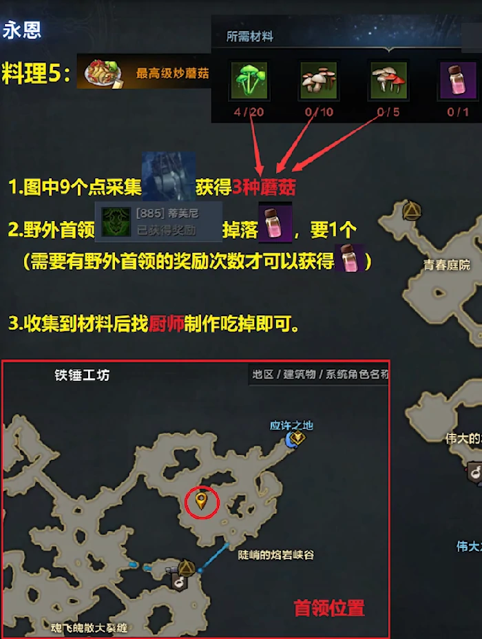 最高级炒蘑菇怎么获得,命运方舟