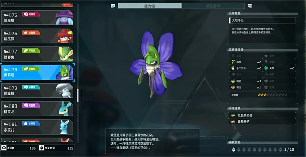 薇莉塔位置在哪