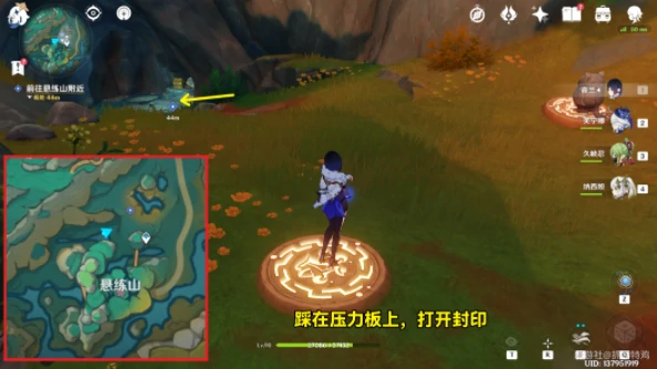 仙人游庄任务攻略,原神