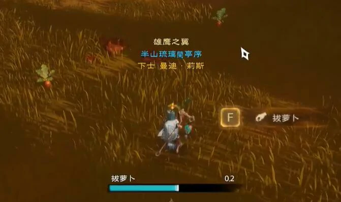 安卡什峡谷宝箱在哪