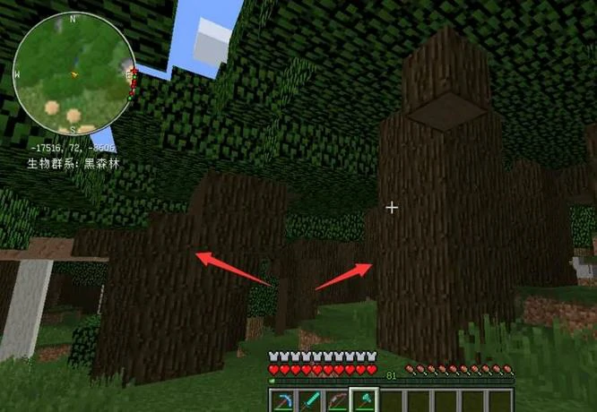 深色橡木树苗怎么获得,我的世界