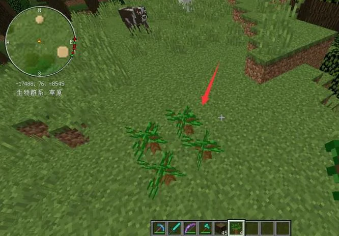 深色橡木树苗怎么获得,我的世界