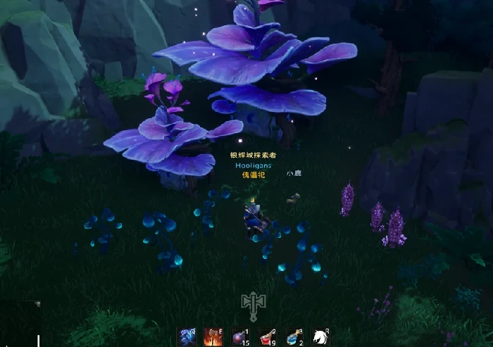 迷雾森林宝箱分布与开启方式