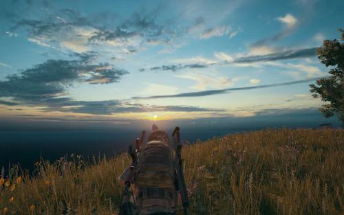 吃鸡小技巧,绝地求生