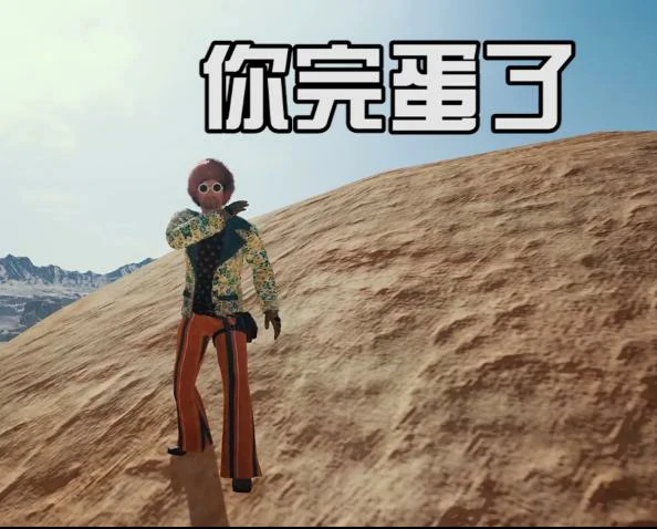 绝地求生表情功能,绝地求生