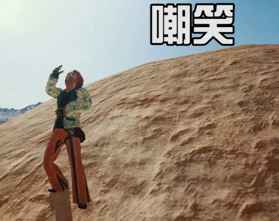 绝地求生表情功能,绝地求生