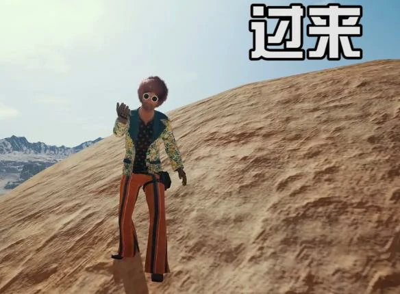 绝地求生表情功能,绝地求生