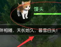 逆水寒宠物猫获取,逆水寒