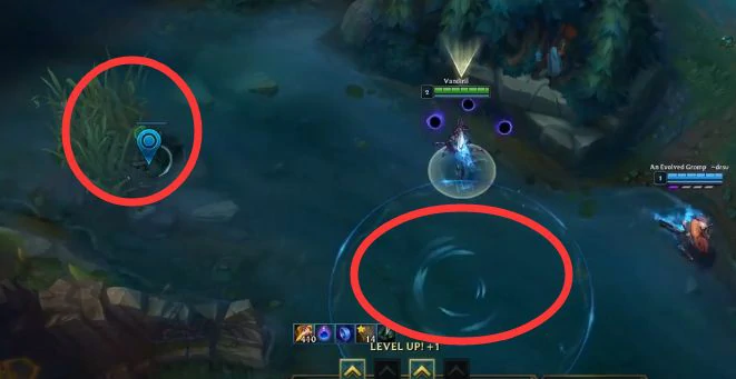 lolbug