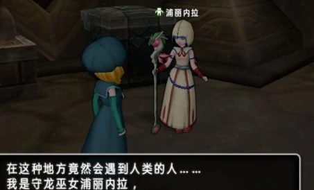 勇者恶龙X
