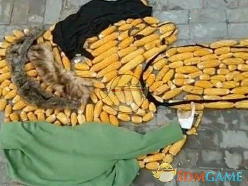 LOL王思冲吃玉米图片壁纸,LOL