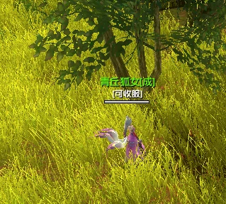新手前