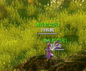 新手前