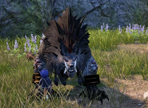 斯佩齐亚稀有怪哪里刷