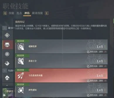 法师和游侠对比