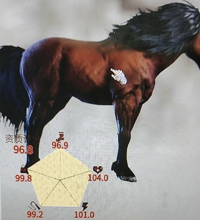 高品质马匹怎么获得