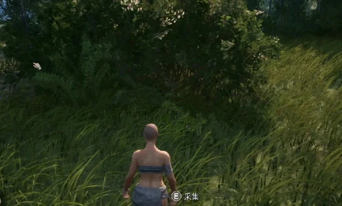 有哪些药材