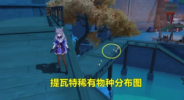 璃冠鸽在哪里抓,原神