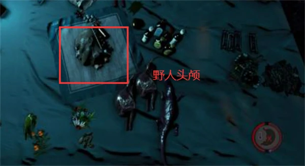 野人头颅有什么用