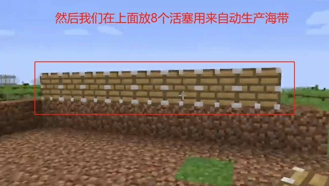 海带怎么种植,我的世界