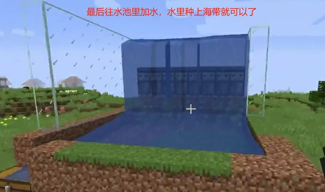 海带怎么种植,我的世界