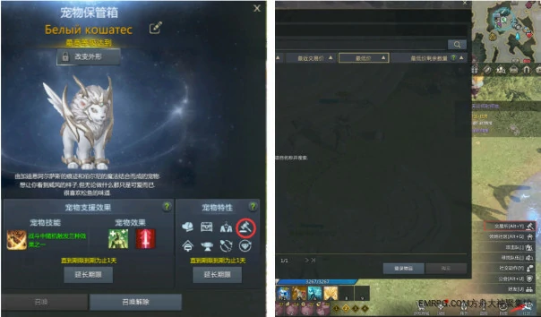 黄金怎么获得,命运方舟