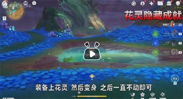 在萨雷奥杰卡的天空翱翔成就攻略,原神