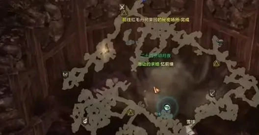 红毛丹的秘密在哪,命运方舟