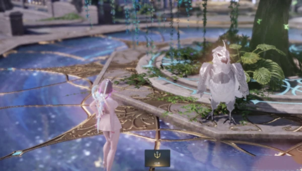 缘分套去哪里要,命运方舟