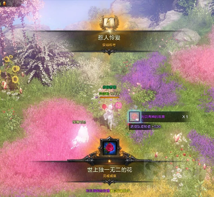 命运方舟世上独一无二的花成就攻略,命运方舟
