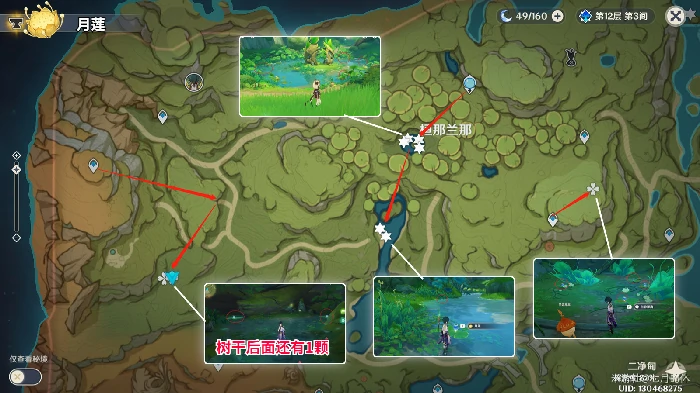 原神莱依拉突破材料收集路线,原神