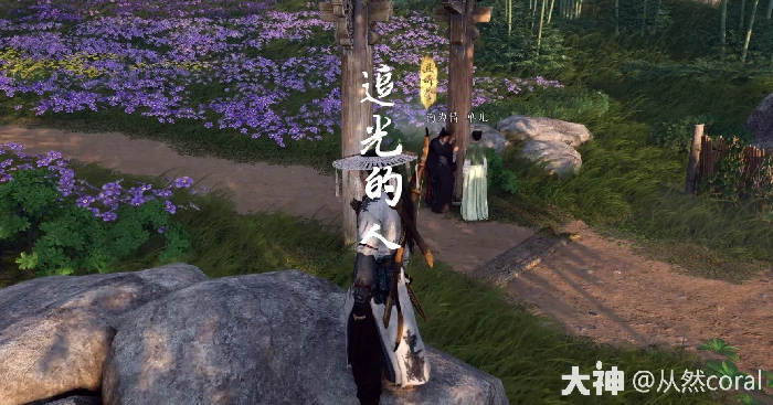 燕云十六声奇遇追光的人攻略,燕云十六声