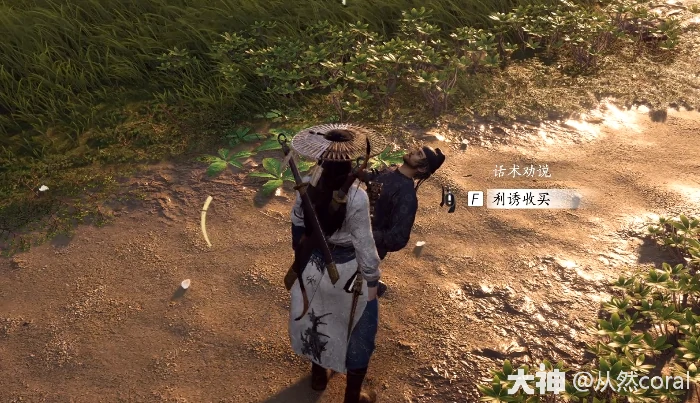 燕云十六声奇遇追光的人攻略,燕云十六声